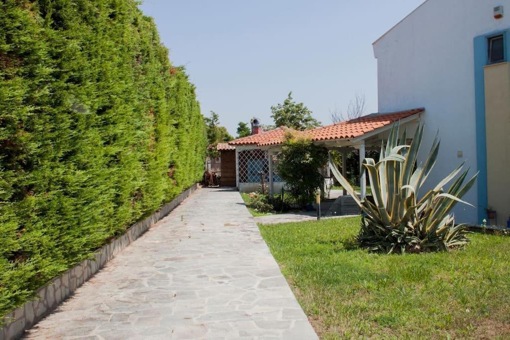 Wonderful House With Private Garden Villa ฟิออยิตา ภายนอก รูปภาพ